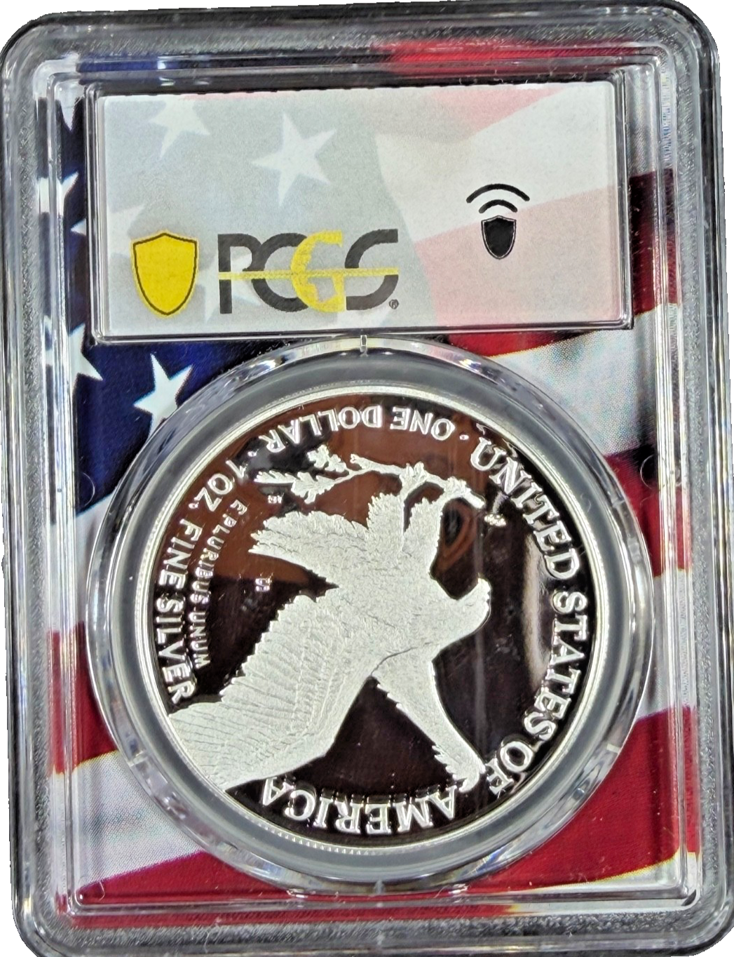 🇺🇸 2024 S 1oz Silver Eagle Proof PCGS PR70 DCAM - Flag Picture Frame