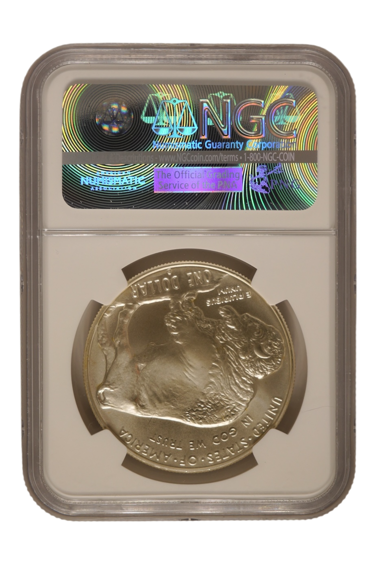 2001-D American Buffalo Silver Dollar NGC MS 69